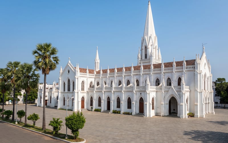Santhome Cathedral Basilica's white Gothic-revival facade and spire in Chennai, palm trees under a clear sky.